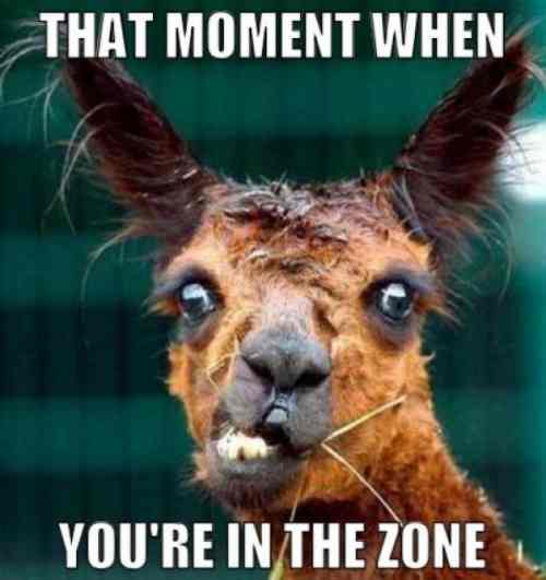 26967-that-moment-when-youre-in-the-zone